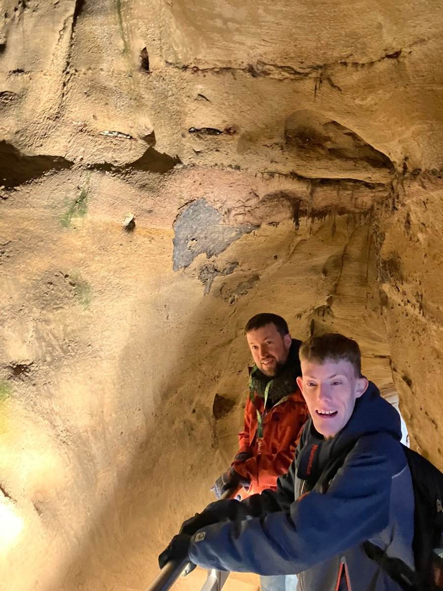 Reach Learning Disability tweet media