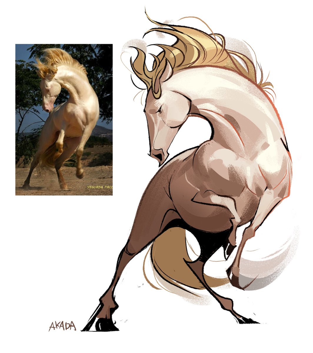 🐎