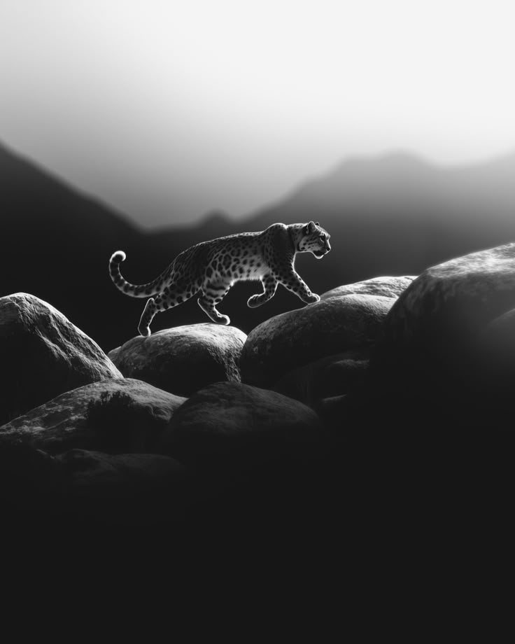 REX (@rexchillect) on Twitter photo 