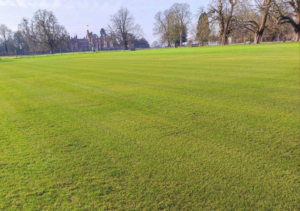 Chris Johnson (@chrisjohns32540) on Twitter photo Rocastem and Reflex + some sunshine and regularly brushing making squares look a picture <a href="/KnebParkCC/">Knebworth Park CC</a> Rocastem and Reflex + some sunshine and regularly brushing making squares look a picture <a href="/KnebParkCC/">Knebworth Park CC</a>