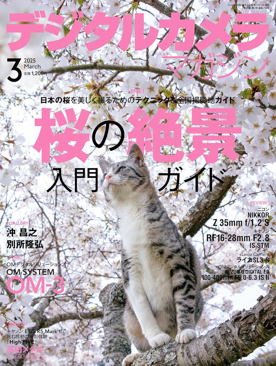 デジタルカメラマガジン2025年3月号 の表紙を担当させていただきました。
サクラが似合う 田代島のファイブさん！

連載中の 日常にゃ飯事 と 新刊 これネコ それネコ？のギャラリー5ページと満載です。

amzn.to/42YJl74