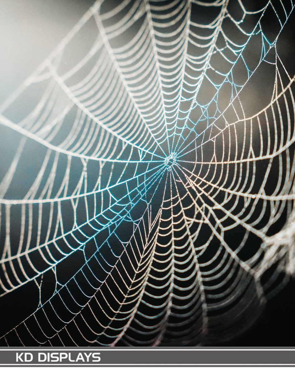 KDdisplays's tweet image. A single strand of spider silk is stronger than steel of the same diameter.

At KD Displays, we build our displays with the same strength and durability—designed to stand the test of time and demand.

#KDDisplays #DurabilityInDesign #StrengthInDisplay #InnovativeSolutions