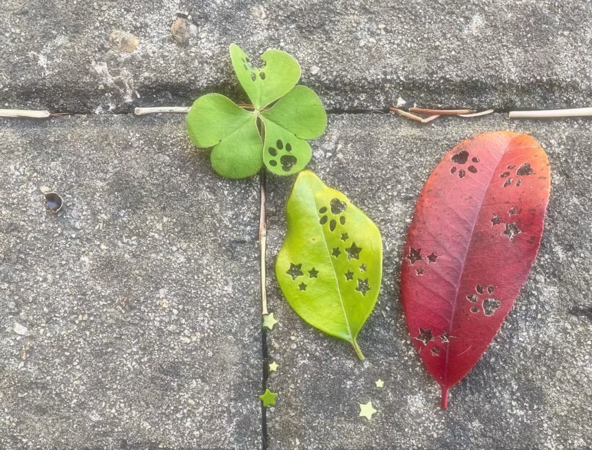 𓈒 ࣪ ˖ (@heartzjpg) on Twitter photo 