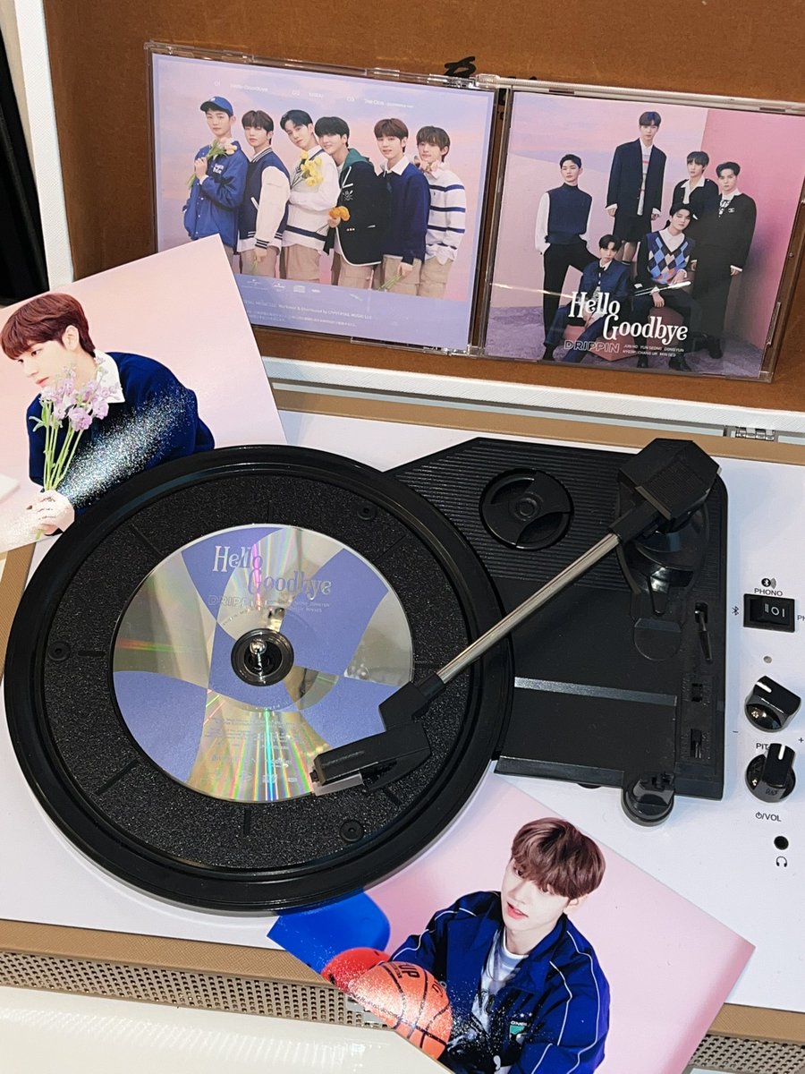 두부 tweet media