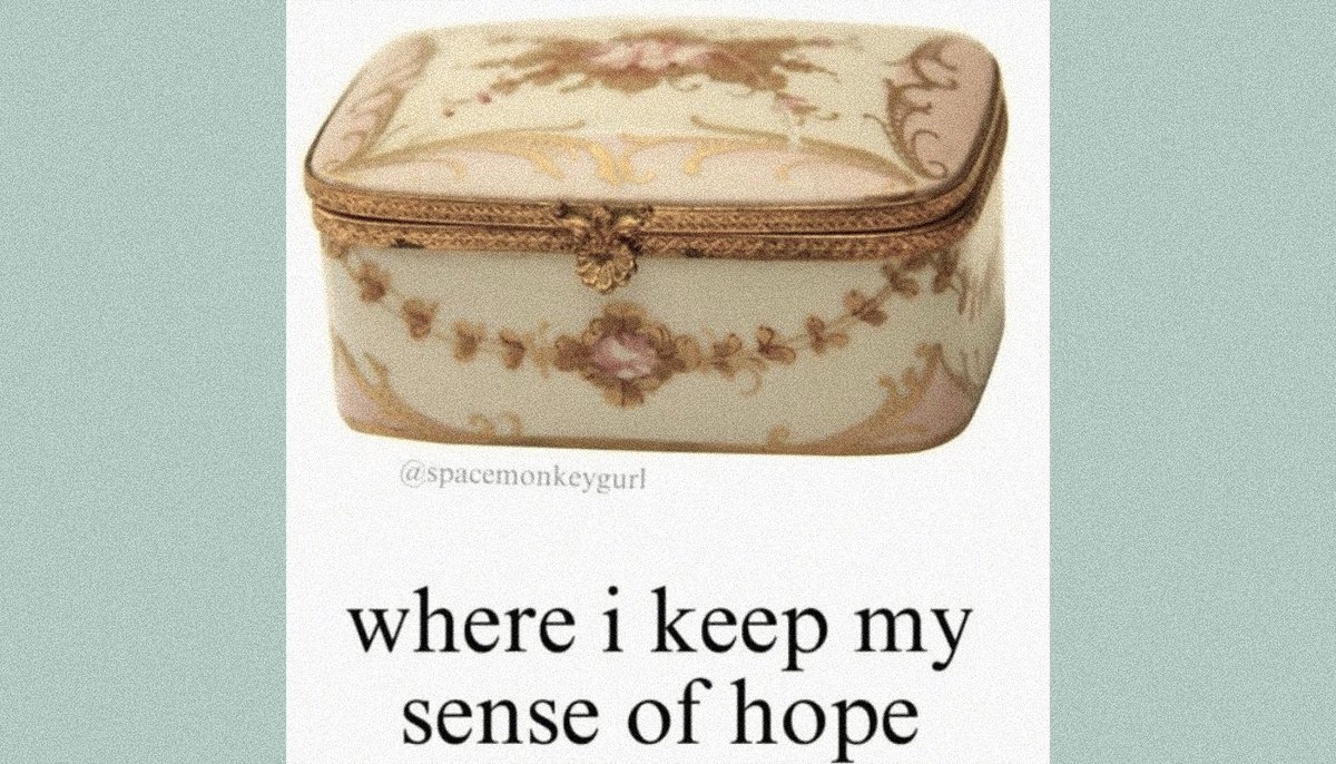 persi 🪴 tweet media