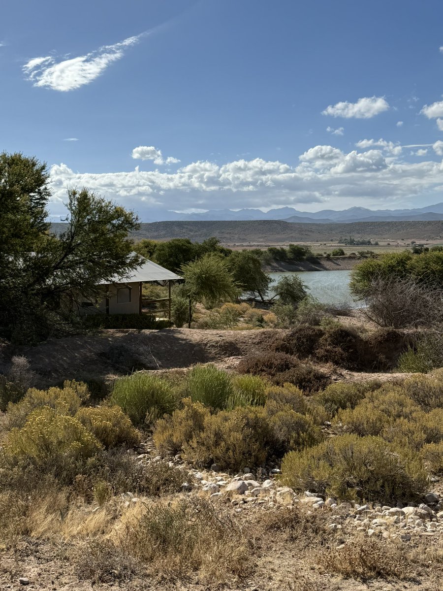 Toet82's tweet image. Next stay 🦒🦬🦓