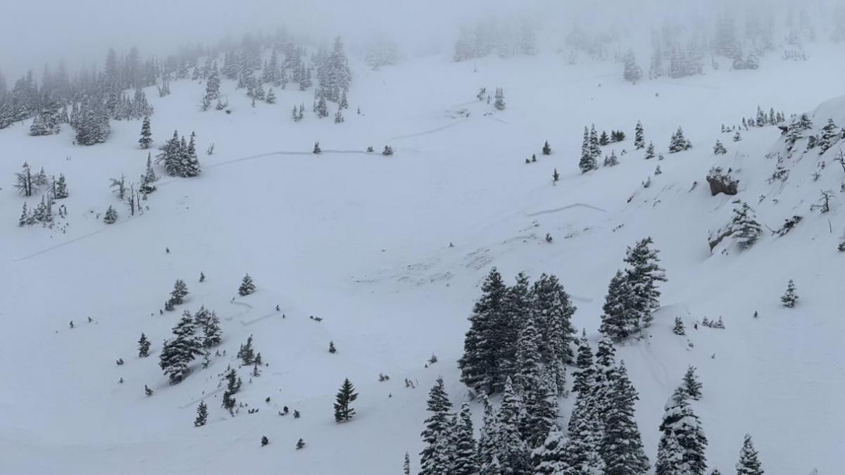 Get the full avalanche forecast for February 18
mtavalanche.com/forecast

There has been a lot of snow recently, and dangerous avalanche conditions exist across the forecast area. The danger is rated CONSIDERABLE.

📸Natural avalanche in the Bridger Range. I. Freeland