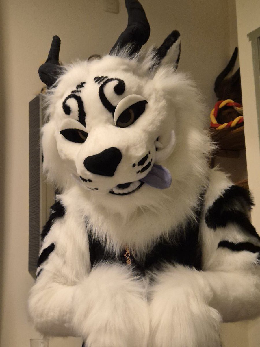 How to catch me at #NFC2025 I feel so out of the loop with friends so I'd love to suit as much as I can and socialize with everyone! I'll also be dealing at NFC, come get awesome goods! 

Do's: 
✅Hugs (ask)
✅pics
✅having a good time

❌Follow me around (unless invited)