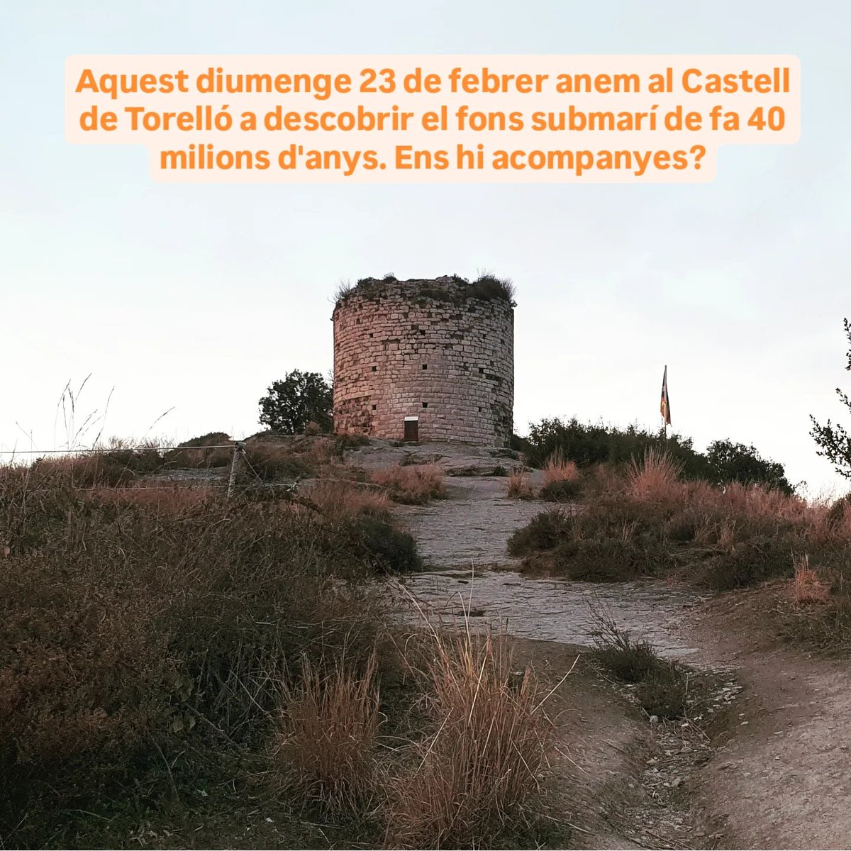 Aquest diumenge 23 de març anirem a descobrir el fons submarí de l'antic mar de l'eocè.
Fòssils i històries molt antigues ens acompanyaran al llarg de tota la ruta.
geolegcat.loriun.com/p/caminada-geo…