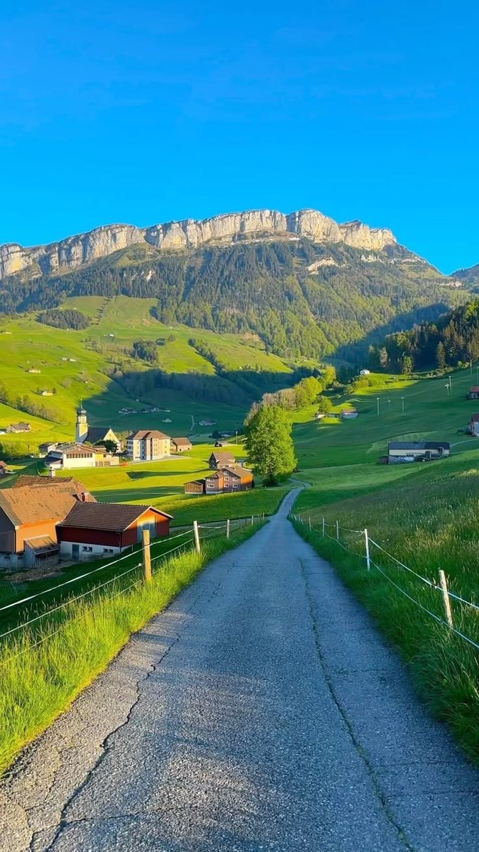Naturepulls's tweet image. Switzerland ⛰️🌳🏡

#nature