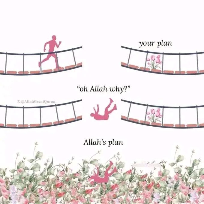 Sadiq salihu tweet media