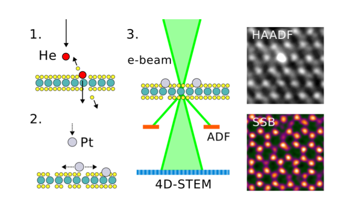 a sentient electron 🧠🔬⚛️ tweet media
