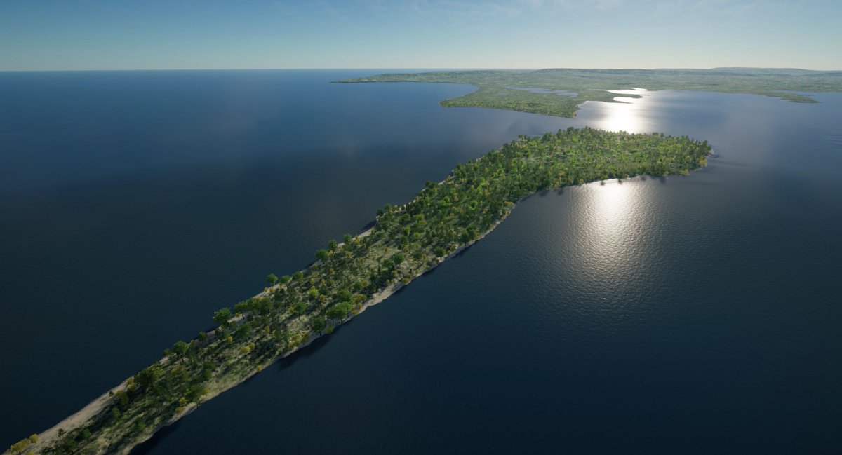 Digital Maestro KIZ 🌏 tweet media