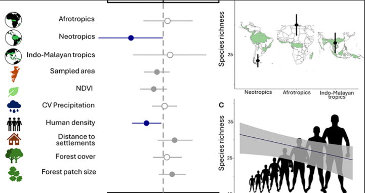 Lain E. Pardo V. tweet media