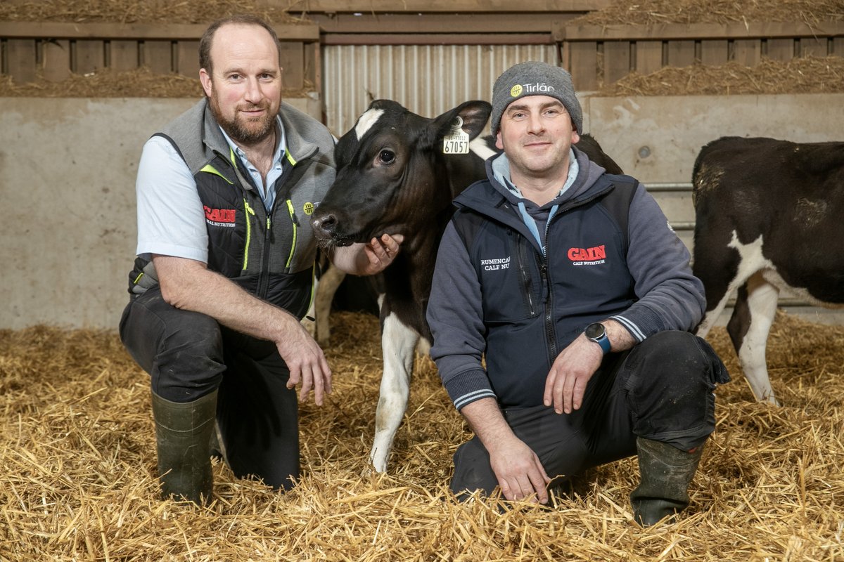 Discover how Wicklow dairy farmer John Wynne has boosted his farm's efficiency with GAIN Easi-Mix over the past number of years. Click here to read the full article 👉bit.ly/3EGjiaV #TheBeginningIsEverything #Calving25