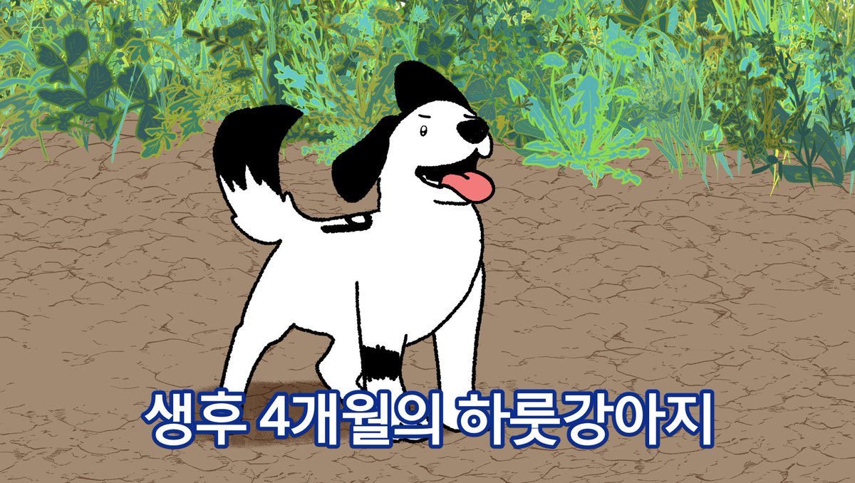 🐣뱅알리🐣🕯️ tweet media