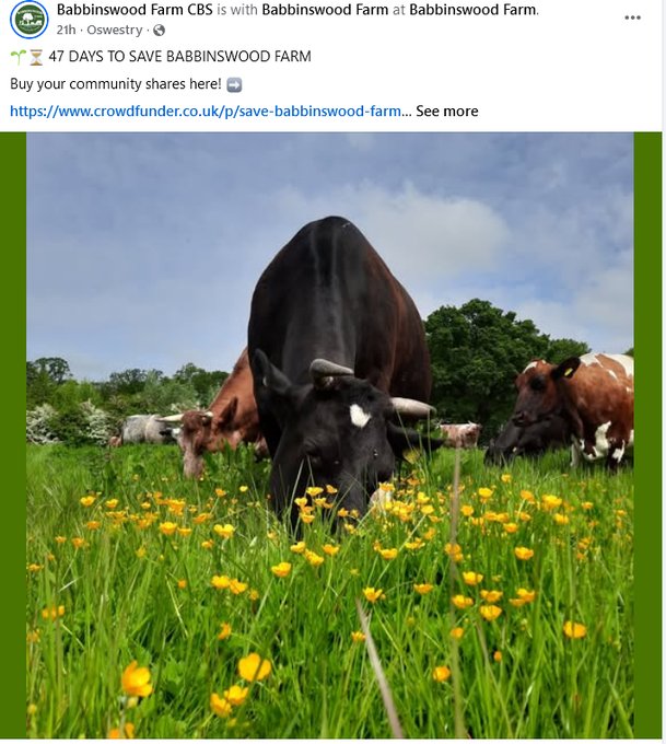 BabbinswoodCBS's tweet photo. Buy some buttercups! Buy a share in this organic farm to save these buttercups from destruction. Please spread the word @SoilAssociation @Love_plants @MMComLandTrust @michaelastracha @BumblebeeTrust 

https://t.co/Kp5e7ubiKX
#OrganicFarming #CommunityOwnership #SaveOurFarm https://t.co/uIuKQuElVs