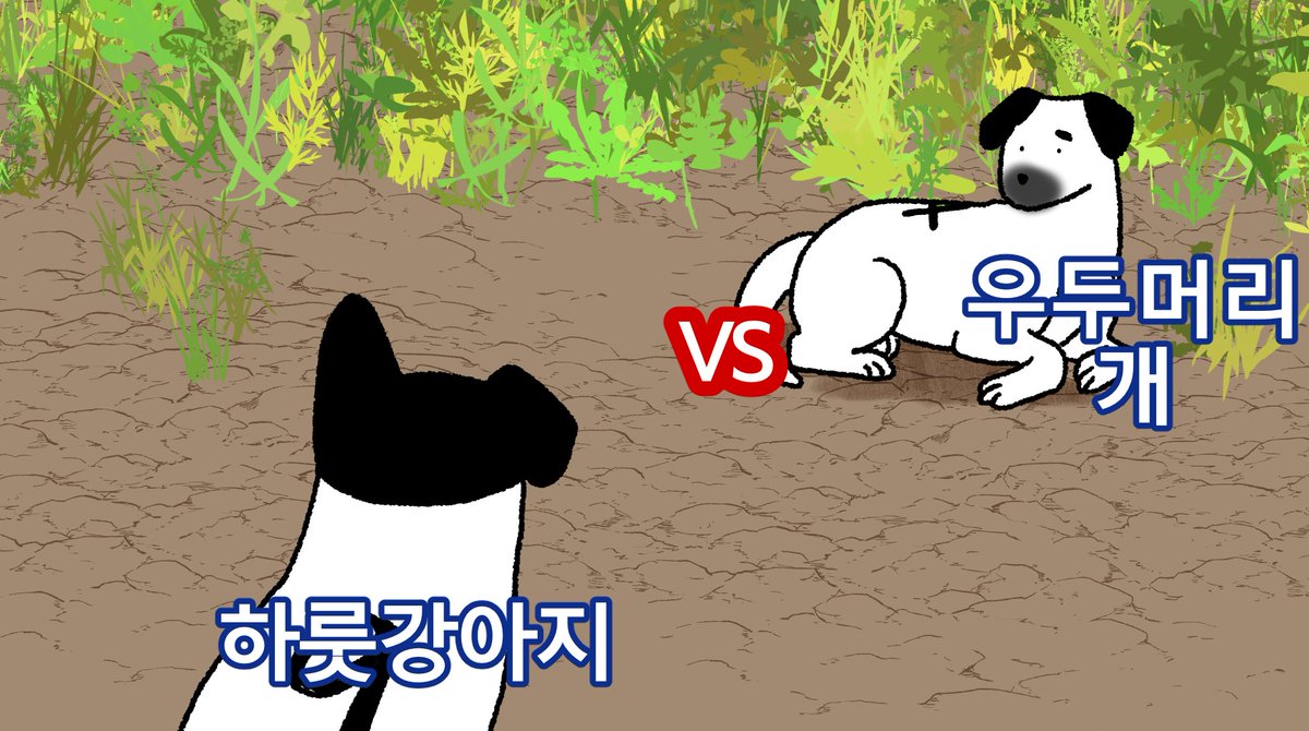 🐣뱅알리🐣🕯️ tweet media