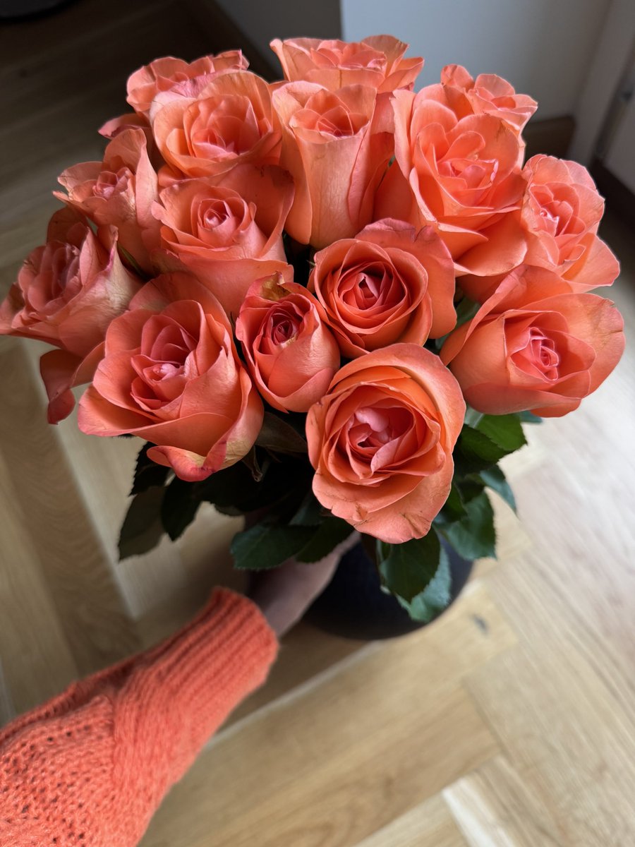 Brightening this rainy day with a pop of orange. Thank you F. 🧡