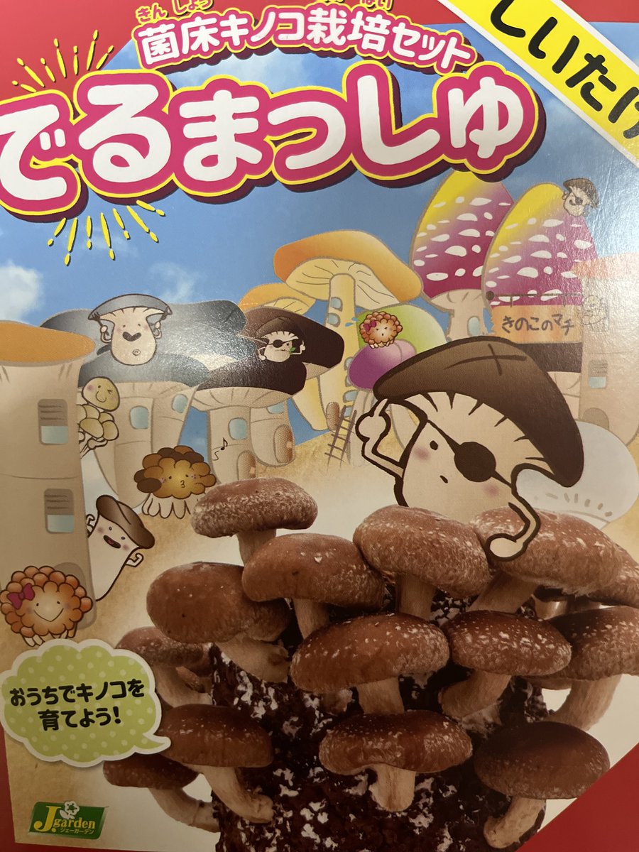 ka244vrc's tweet photo. 安かったので衝動買い🤣
しいたけ栽培します https://t.co/pPJUH2zRT5