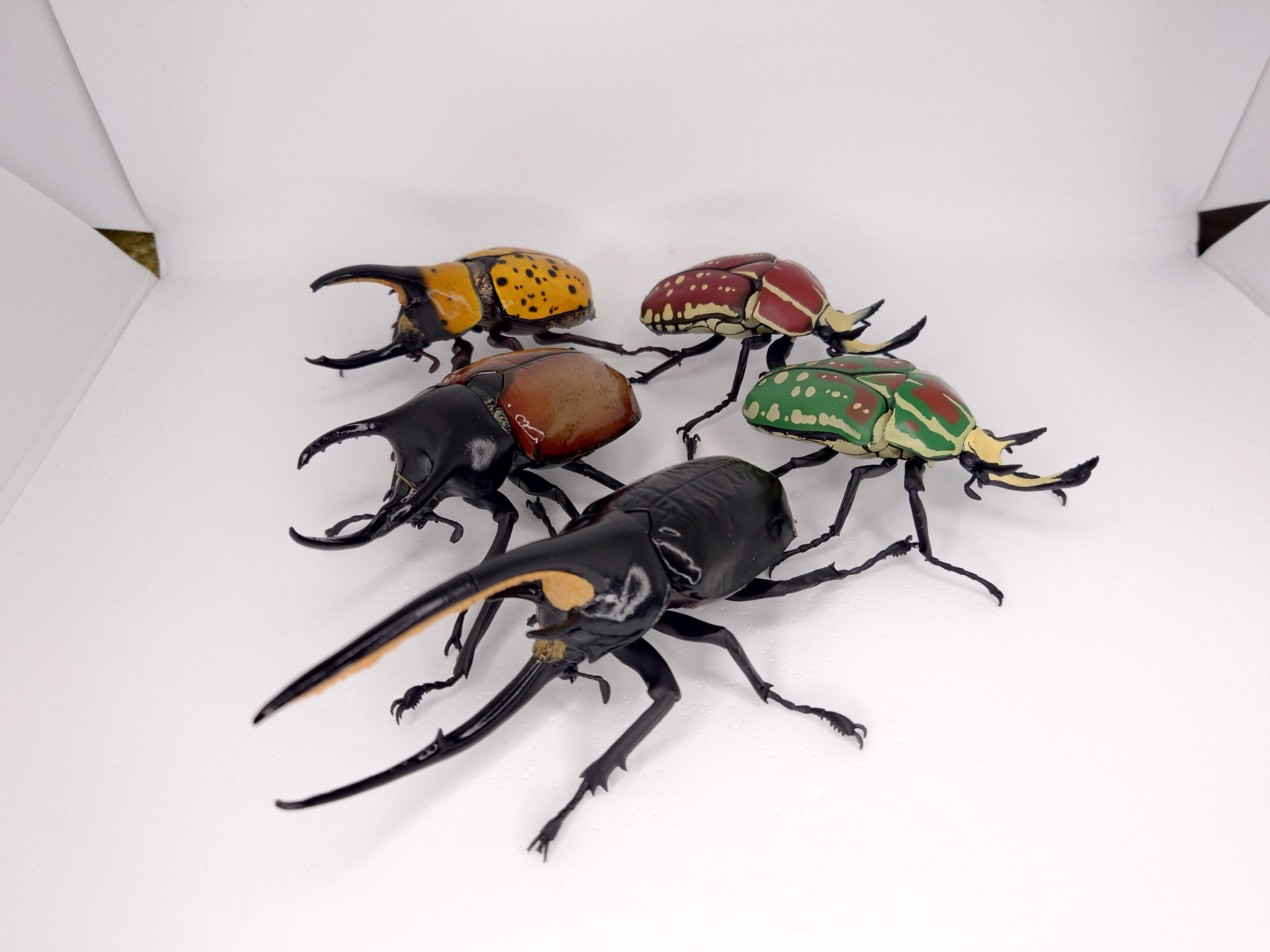 ネプチューン大カブトムシ模型 （いきもの大図鑑 かぶとむし08