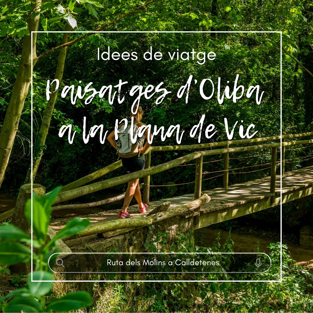 Camioliba's tweet photo. 🟢IDEES DE VIATGE ENTORN EL CAMÍ OLIBA Paisatges d’Oliba a la Plana de Vic
Explora espais culturals i naturals que complementaran la teva caminada.
👉https://t.co/SdhK4laCw5
#camioliba #GR151 #senderisme #descobertadepoblesiciutat ##paisatgesdoliba #planadeVic https://t.co/fDfqc4bl60