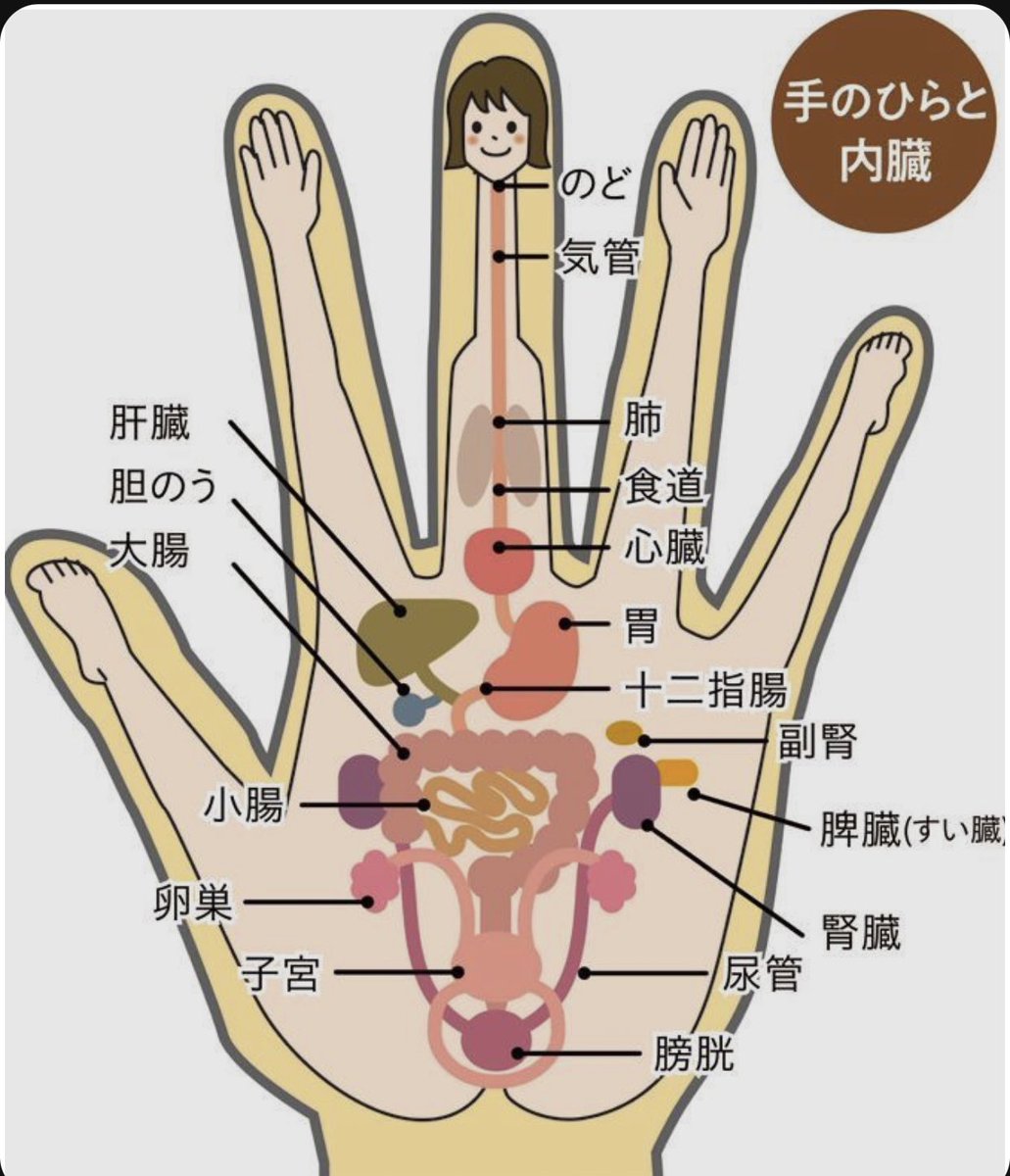 ayumichannelok's tweet photo. こういうのを見るとブクマしたくなる。 https://t.co/BQjs53HERN