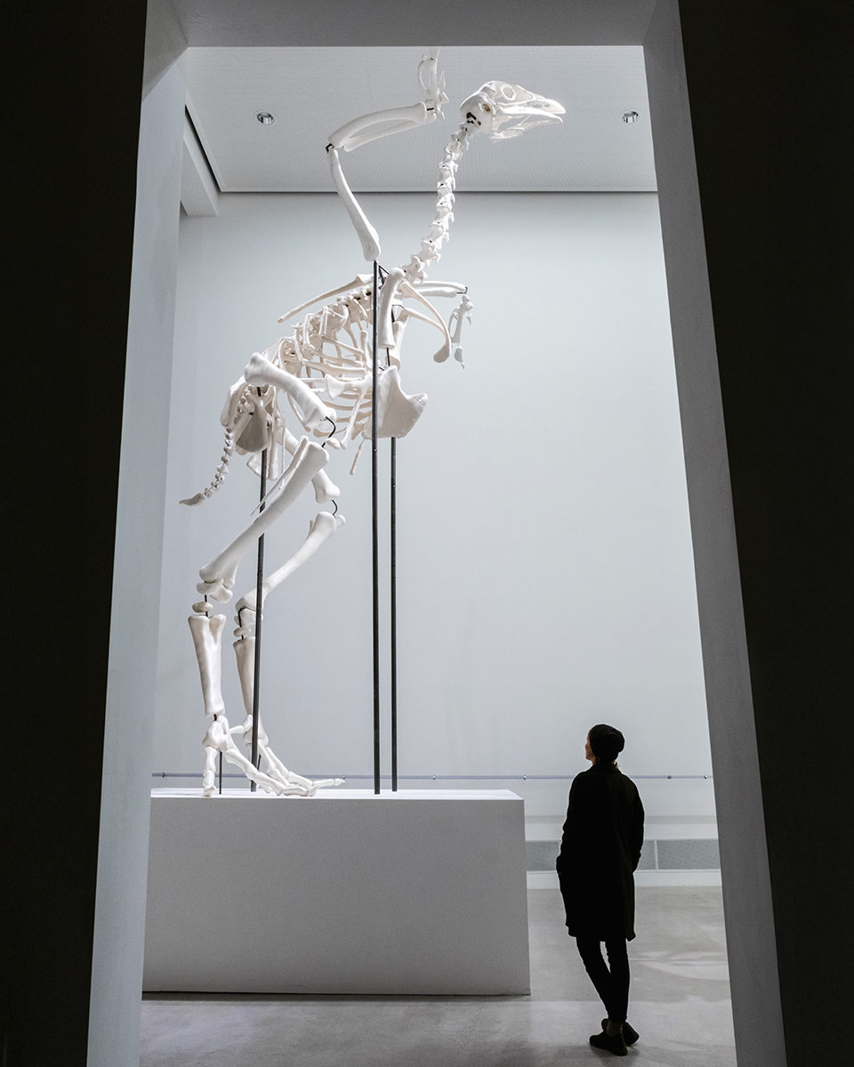 Andreas Greiner's "Monument for the 308" reimagines a modern creature as a prehistoric giant, sparking convo on industrial farming, evolution, &amp; human impact. Made with CT scans &amp; BigRep ONE, it merges art &amp; tech, showcasing large-scale 3D printing. #3Dprinting #art #sculpture