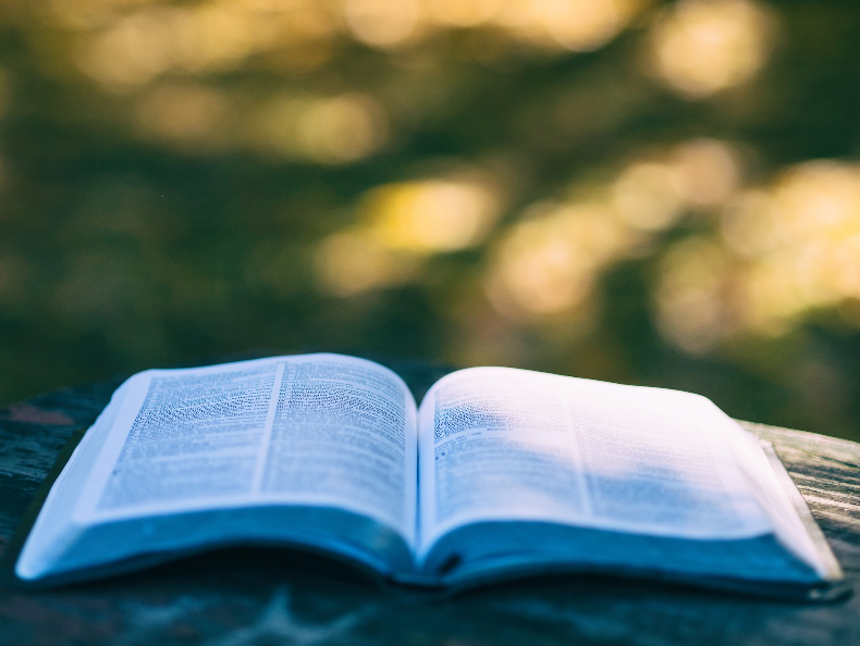 📢 Nachhaltigkeitsbericht wird Pflicht 🌱

Mit der #CSRD wurden erstmals klare Berichtsstandards geschaffen. Ab 1.1.2025 müssen in 🇦🇹 rund 2.000 Unternehmen ihren Nachhaltigkeitsbericht vorlegen.

Was bedeutet das konkret? Hier die wichtigsten Antworten 👇
positionen.wienenergie.at/wissenshub/ein…