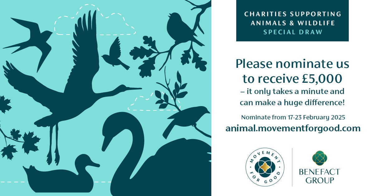 Could you help us to win £5,000 this week? If you have a minute, please consider nominating us for this special prize draw! Winning would help us to boost the health of rivers - and their beautiful brown trout - across the country 🐟💚 Nominate us here: animal.movementforgood.com/#nominateAChar…