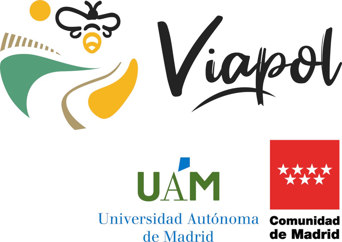 📢 En esta fase post-LIFE #LIFECAÑADAS, seguimos muy pendientes de las vías pecuarias y su puesta en valor:
🔎 Proyecto #VIAPOL, investiga su papel en la conectividad de polinizadores. Financiado por <a href="/ComunidadMadrid/">Comunidad de Madrid</a> <a href="/UAM_Madrid/">UAM Autónoma Madrid</a>
📍 Más información en 👉 laboratoriosocioecosistemas.es/viapol/