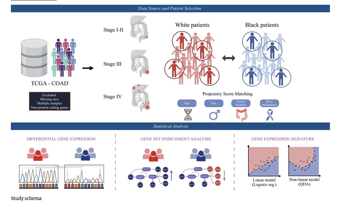 Annals of Surgical Oncology (@annsurgoncol) on Twitter photo February Issue: Stage-Specific Tumoral #GeneExpression Profiles of Black and White Patients with #ColonCancer <a href="/allantsung/">Allan Tsung</a> <a href="/sjk_md/">Susan Kim, MD</a>
rdcu.be/eafWZ
<a href="/drsergioaguilar/">Sergio Israel Aguilar</a>
<a href="/SyedAAhmad5/">Syed A. Ahmad</a> February Issue: Stage-Specific Tumoral #GeneExpression Profiles of Black and White Patients with #ColonCancer <a href="/allantsung/">Allan Tsung</a> <a href="/sjk_md/">Susan Kim, MD</a>
rdcu.be/eafWZ
<a href="/drsergioaguilar/">Sergio Israel Aguilar</a>
<a href="/SyedAAhmad5/">Syed A. Ahmad</a>