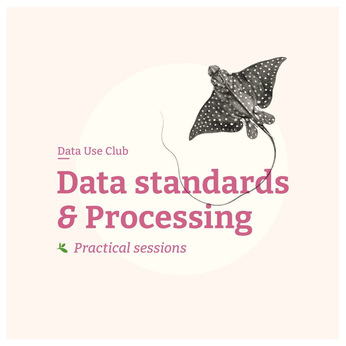 Missed out on attending our #DataUseClub Practical Session last week?  🐙

Have no fear, the resources are here! 🙌

Access the session recording, Q&amp;A, presentations and community forum all in one place!

🔗gbif.org/composition/2w…