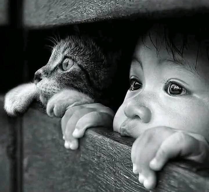 معاشروں میں قحط !!!
صرف روٹی اور پانی کا نہیں 
احساس کا بھی ہوتا ہے۔۔🌺