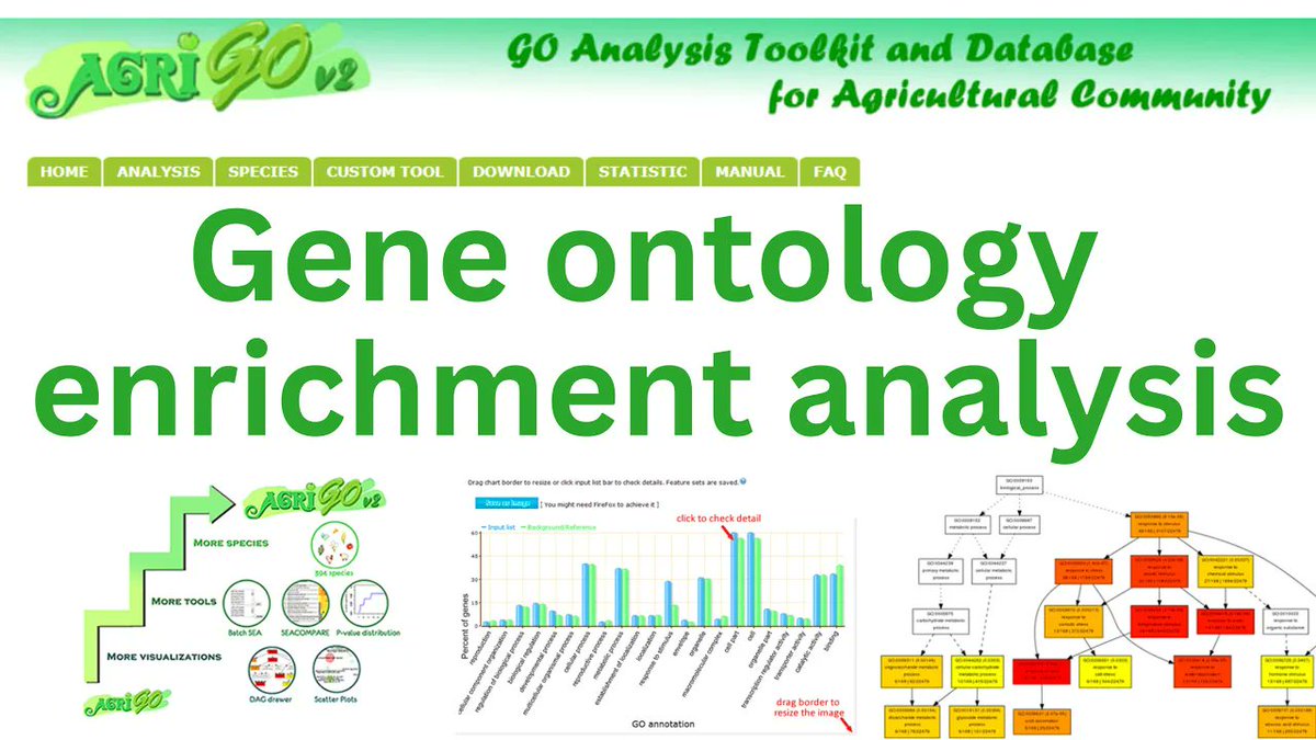 asifmolbio's tweet image. An excellent resource of the day 
AgriGO: A web-based tool to perform gene ontology enrichment analysis.
youtu.be/bjGsT0DfWEE
#bioinformatics  #biology #transcriptomics #RT