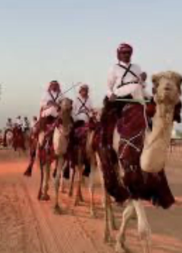 هذه ابيات من عرض قصيده للشاعر الكبير / ناصر الساطوح الحمالي #قحطان  رحمه الله يصف فيها الذلالول والهجن وصف بليغ ورائع وعمر هذه القصيده اكثر من ٦٠ عام 🚨

ياعيال ياركابة الفطر الشيب 
تخيرو فج العضود الظهيره

حمرا الي فزت تفض المصاليب 
فضيض ربدا صكه العصر ذيره 

كنه يكسر في النواظر