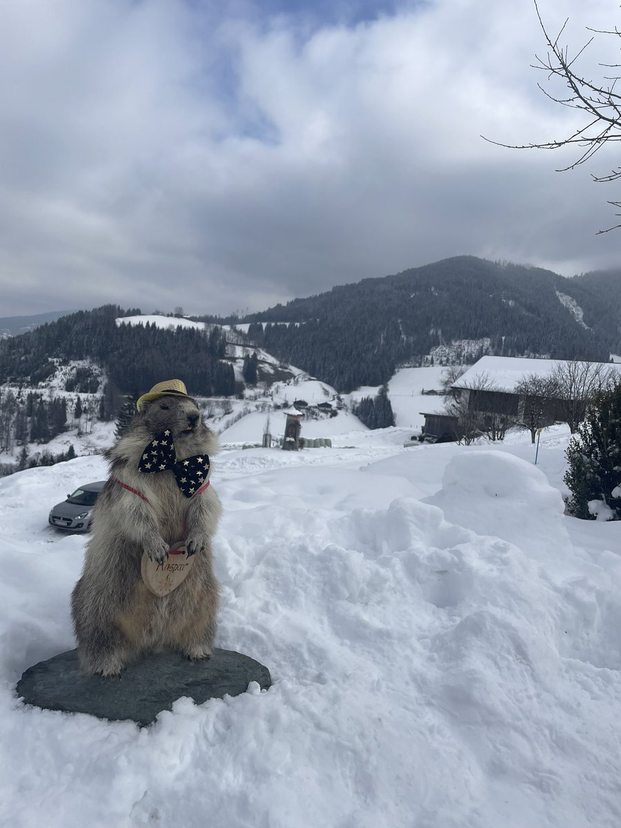 CVS Ski Trip 2025 tweet media