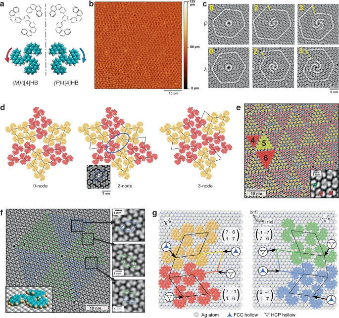 🚨SCIENTISTS DISCOVER EINSTEIN-LIKE PATTERNS IN CHEMISTRY?!

Scientists thought they’d made a mistake—until they realized molecules were naturally forming never-repeating patterns, just like the famous einstein tiling problem in math.

Using tris(tetrahelicenebenzene) (t[4]HB) on