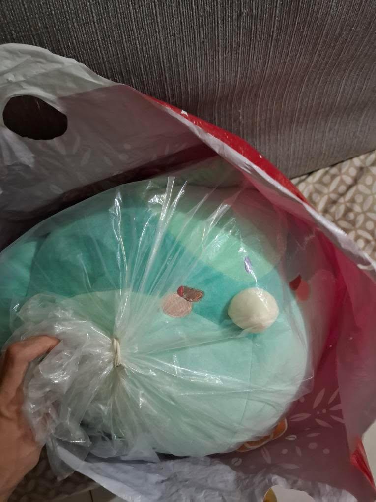 richeellyy's tweet photo. attended my first CSE last sat (which was sooo fun!!) n who wouldve thought i'll be able to meet sum1 who's selling their BIG CHONKY xiao alatus birb plush 🥺💖

thanksies so much @102154memories !! #yoshie_proofs https://t.co/iS27kvidgS
