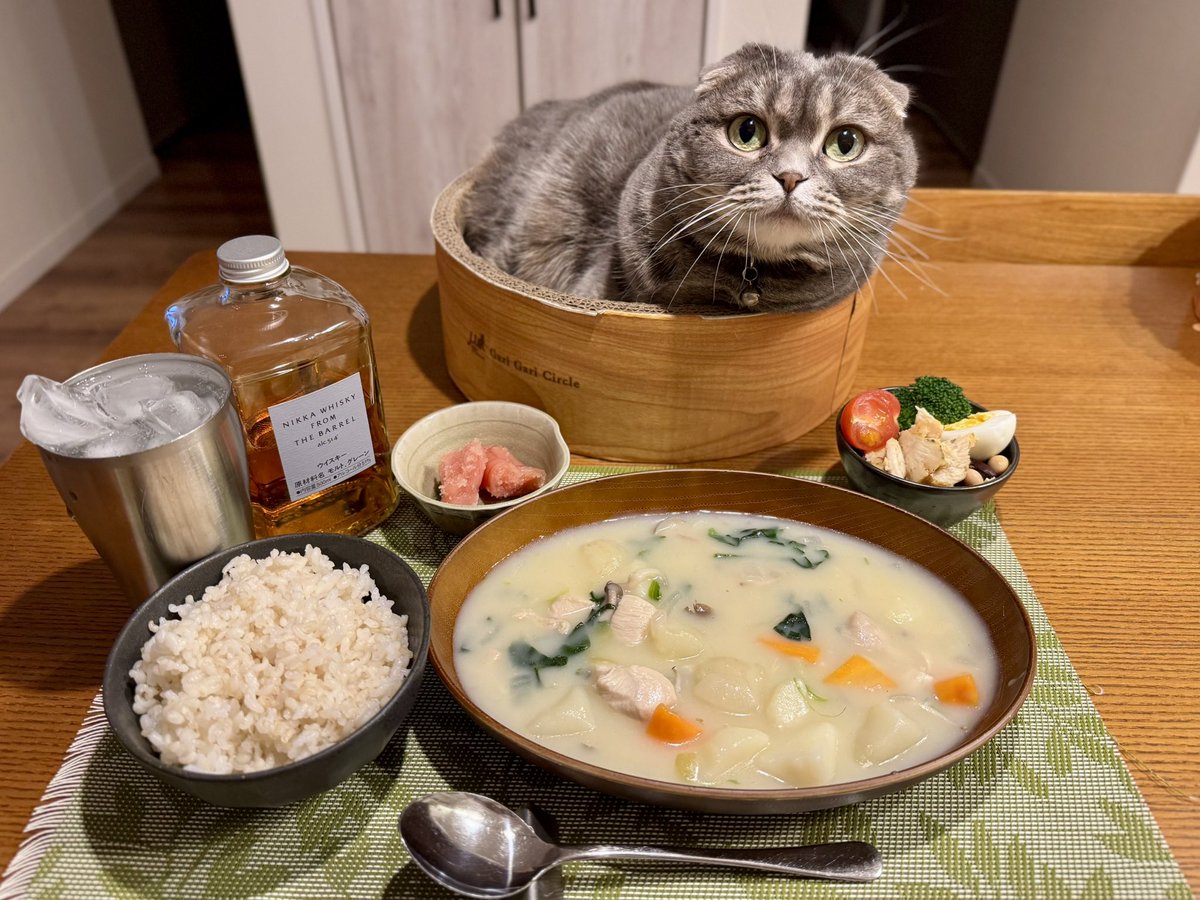 ndTu67XYaawnA2U's tweet photo. クリームシチューと猫達
Cream Stew & Cats
#猫 #スコティッシュフォールド #クリームシチュー #フロムザバレル #ハイボール
#cat #scottishfold #creamstew #fromthebarrel #highball https://t.co/Yydwzl4htb