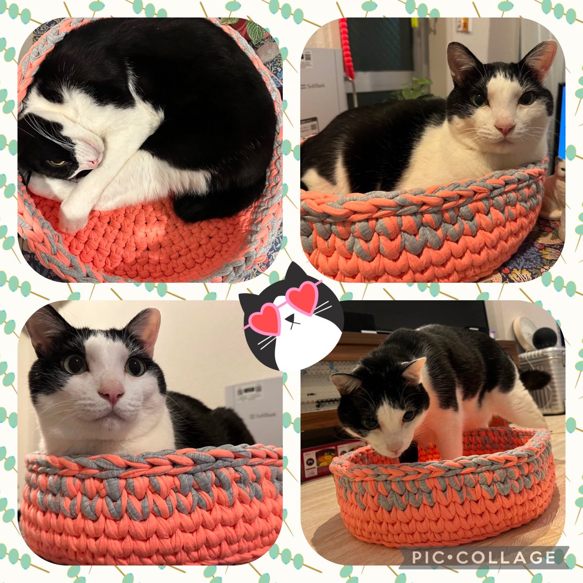 ちよだ猫まつりで我が子にゃんのために猫カゴをお迎えしてくださいましたママさん🥰

どうもありがとうございます😊

ママさん好みの色合いで即決でした😊
そして〜驚くことにご購入後数時間後にはカゴinしているお写真を会場で見せていただき〜なになに？どして？って思ったら、