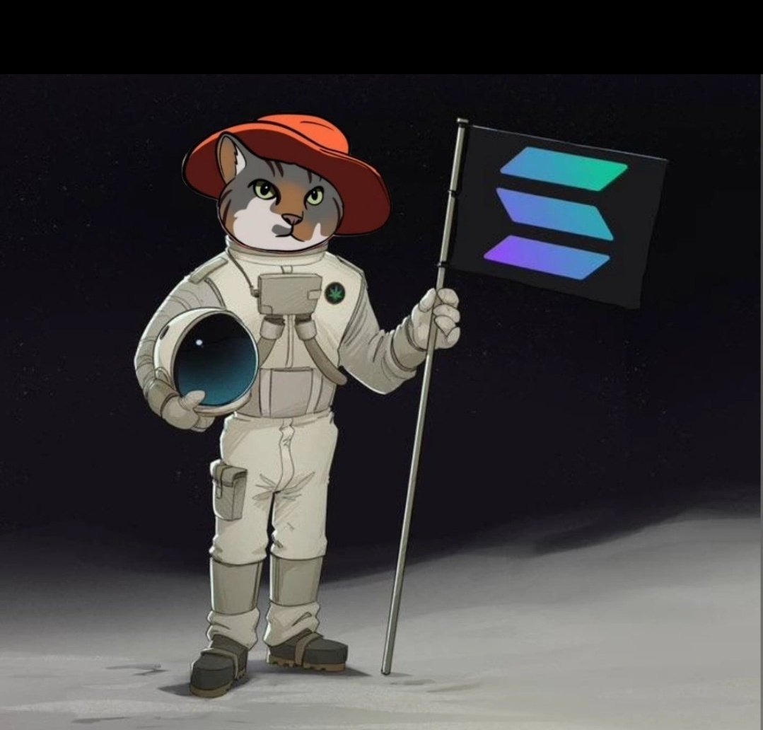 The market's going down but the hat stays on. The cat doesn't meet bad feelings.

t.me/catwifhat_port…
$CWH