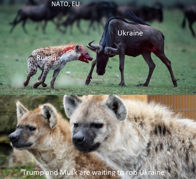GkEUzm4XoAAnhyH?format=png&name=small