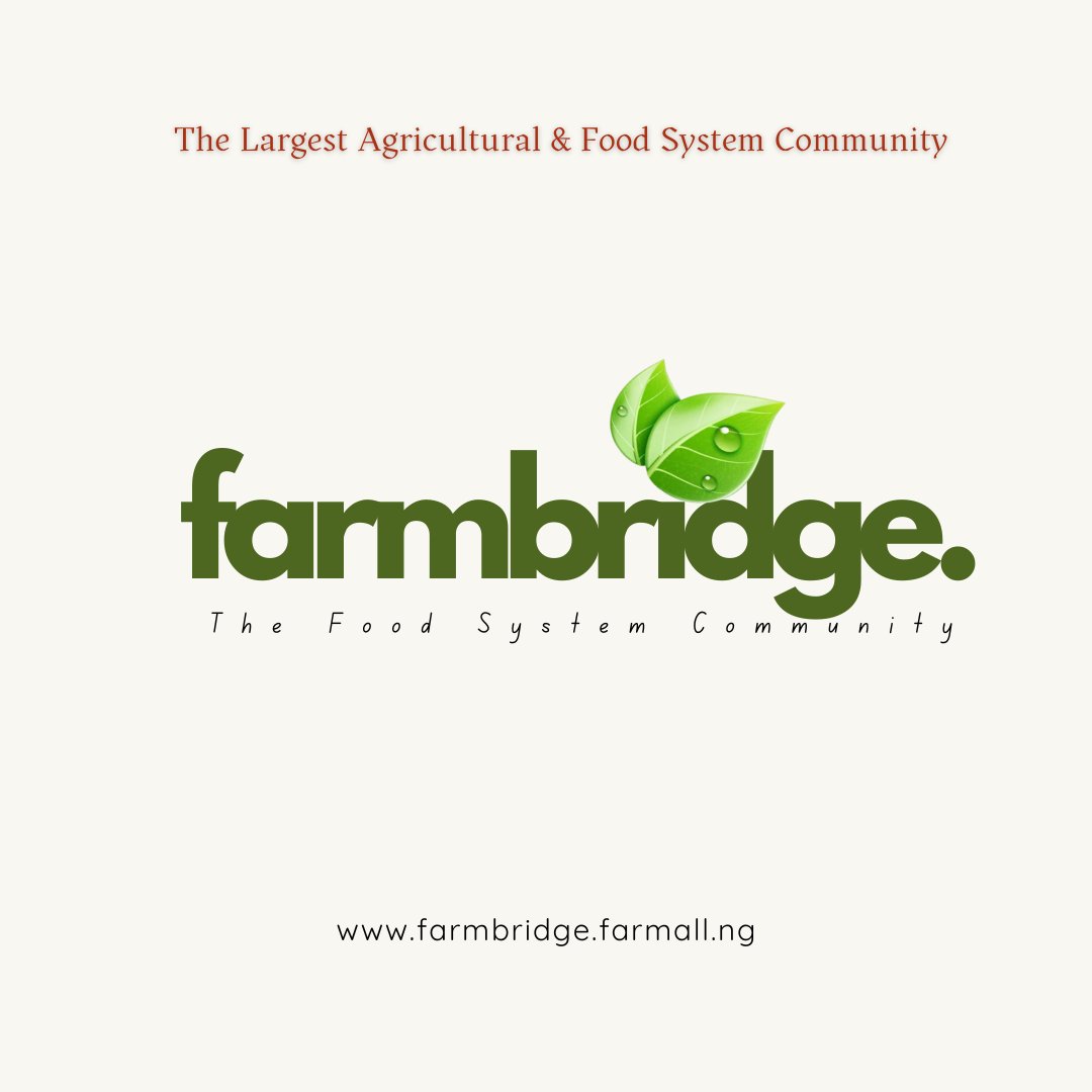 FarmAllng's tweet image. It is high time you joined an Agricultural and Food System Social media site where you can learn, unlearn, relearn, teach, buy, sell, inform, be informed, mentor, and be mentored on anything and everything concerning Farms, Food,  and Nutrition. 

👉 farmbridge.farmall.ng