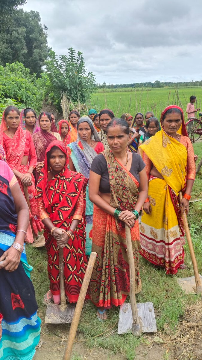 Cdopilibhit tweet media