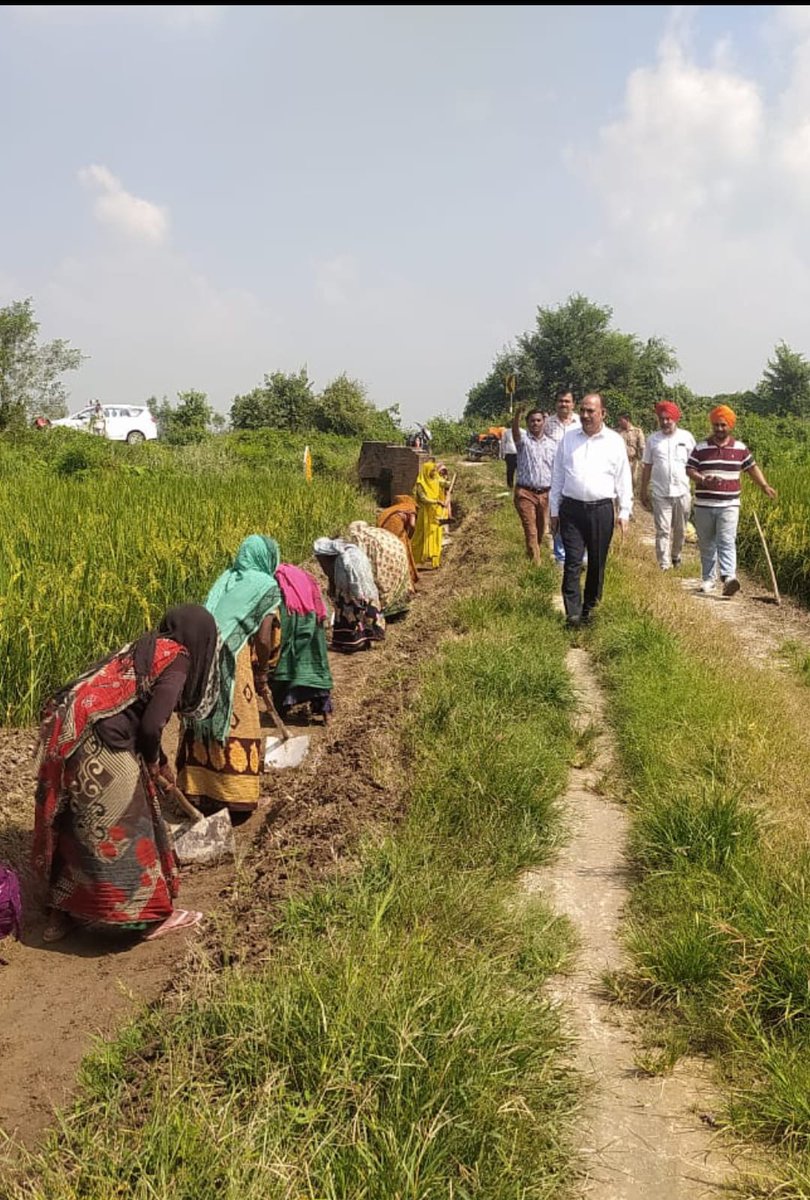 Cdopilibhit tweet media