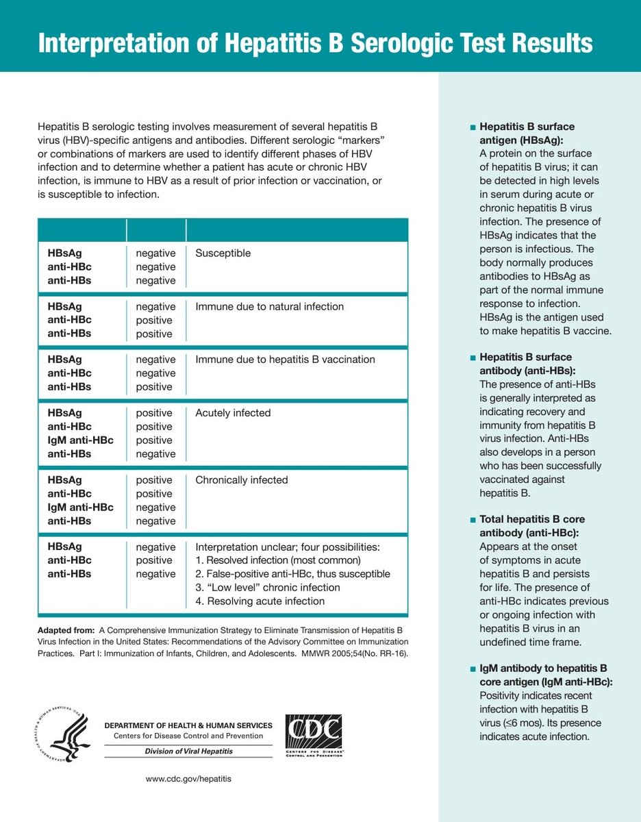 🌟 Hepatitis B serological testing - interpretation of results

🔸️HBsAg and anti-HBc is to be done to screen for HBV infection before starting immunosuppressive therapy