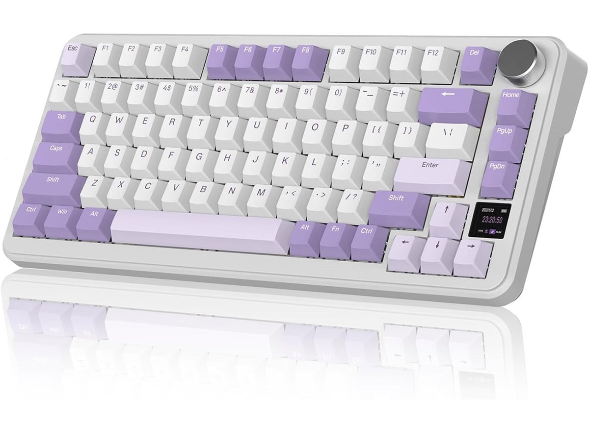 shon_YouTube's tweet photo. 今回レビューさせて頂いたATTACK SHARK X85Proを@ziyoulangjp さんのご好意により抽選で1名様へプレゼントさせて頂きます🎁

当選者の方は3色からお好きなカラーをお選びください🎁

レビュー動画を今日UPしたのでそちらもご覧ください👀

参加条件
@ziyoulangjp 
@shon_YouTube 

♡上記2人をフォロー&いいね&リポスト♡

引用���含めませんがして頂けたら幸いです(^^)

締切
２月２５日21時まで〆