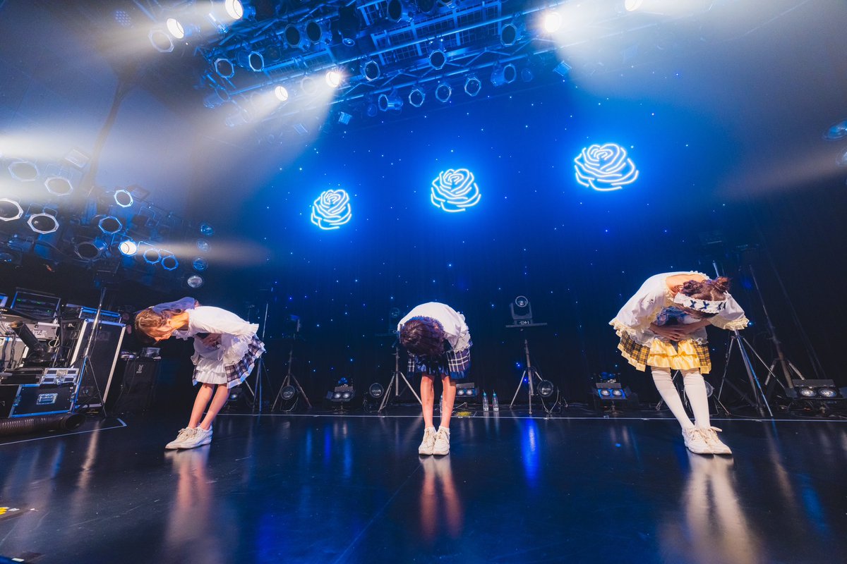 HARPSTAR_info's tweet photo. ꙳☄︎𓂋⟢✮
#ハープスター
#夜空に咲く星 https://t.co/4TBpiSSDrw