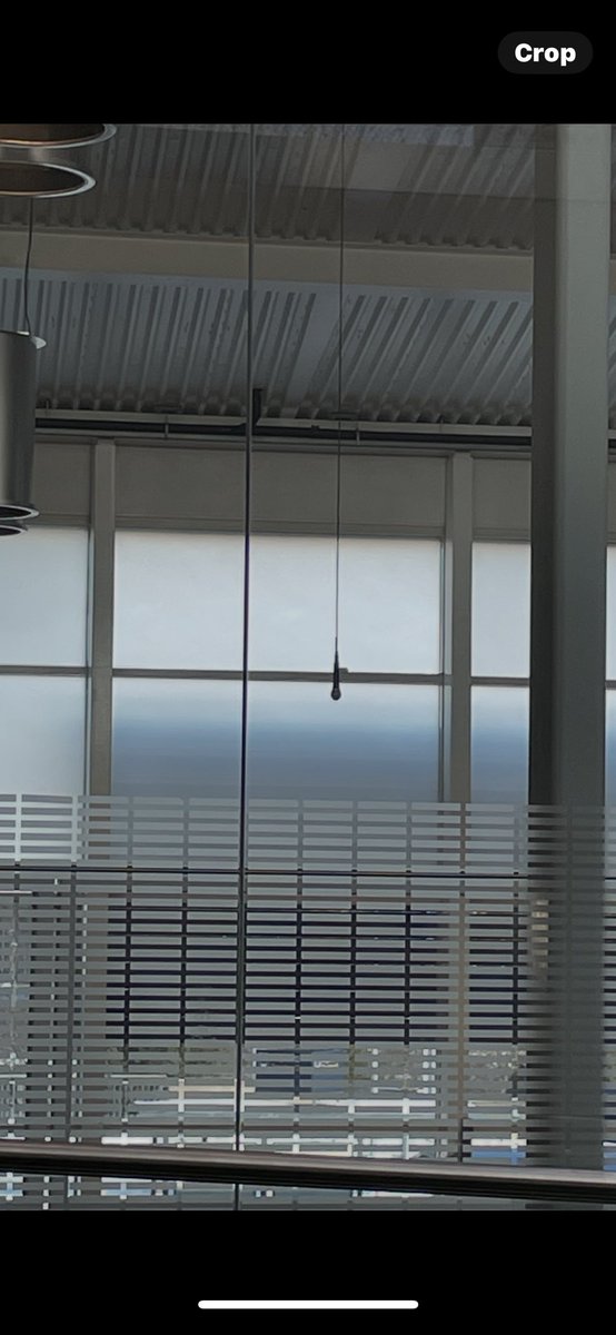 Adam Langley tweet media